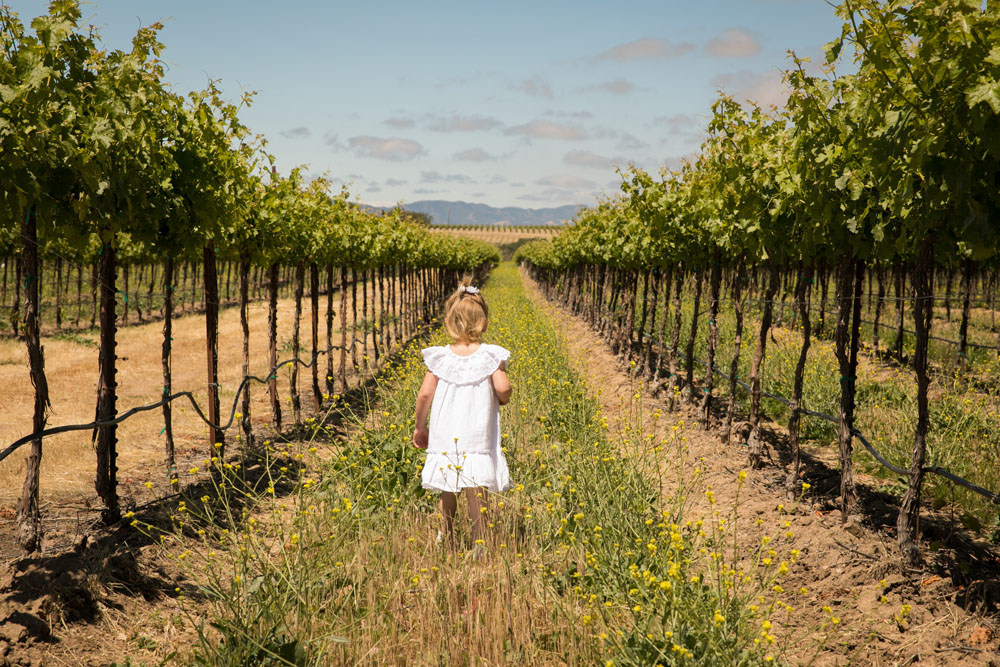 Paso Robles Family and Wedding Photographer Vineyard Family Session  039.jpg