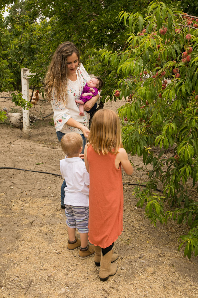 Paso Robles Family and Wedding Photographer 036.jpg