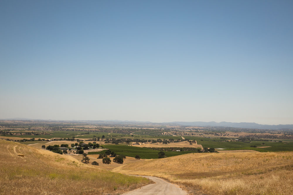 Paso Robles Wedding Photographer Villa San Juilette Vineyard and Winery 001.jpg