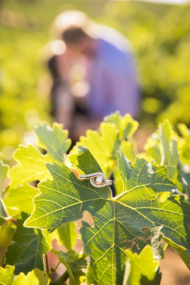 Paso Robles Wedding Photographer Vineyard Engagement Session 016.jpg