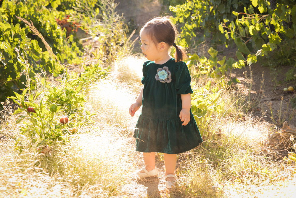 Paso Robles Family Photographer Still Waters Vineyards 048.jpg