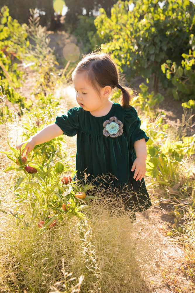 Paso Robles Family Photographer Still Waters Vineyards 050.jpg