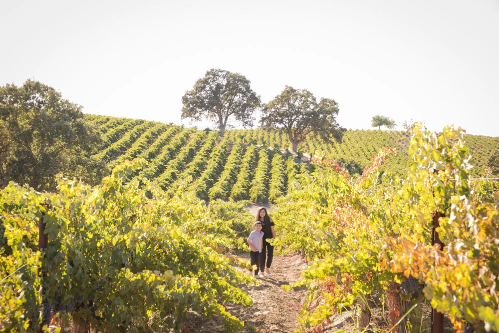 Paso Robles Family Photographer Holiday Mini Sessions 065.jpg