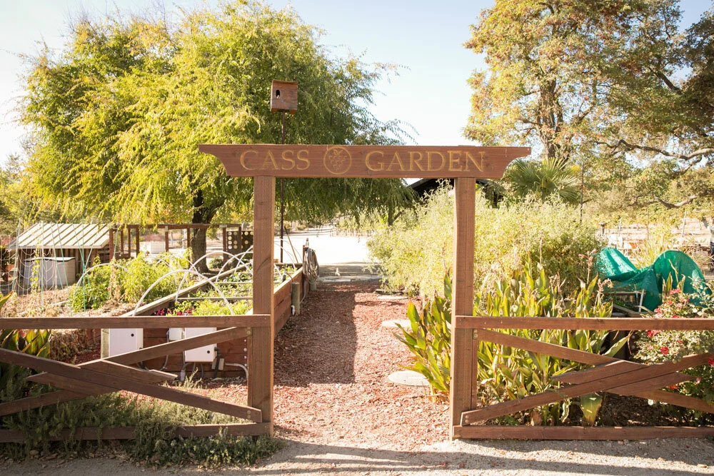 Paso Robles Wedding Photographer Cass Vineyard and Winery 036.jpg