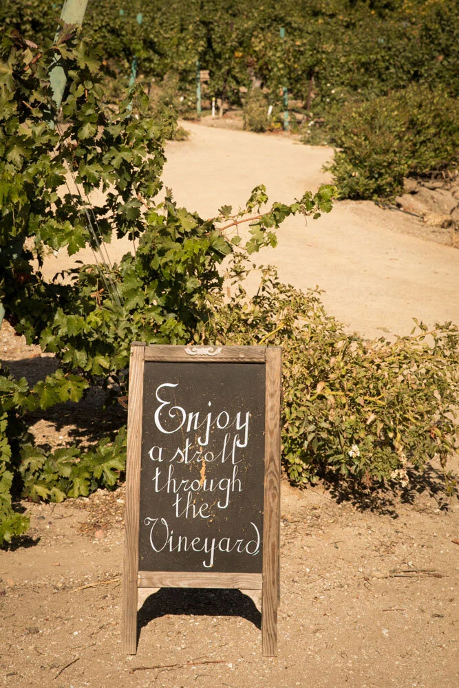Paso Robles Wedding Photographer Cass Vineyard and Winery 037.jpg