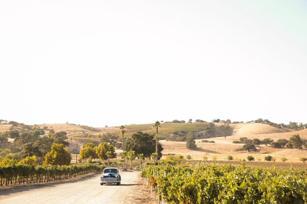 Paso Robles Wedding Photographer Cass Vineyard and Winery 052.jpg