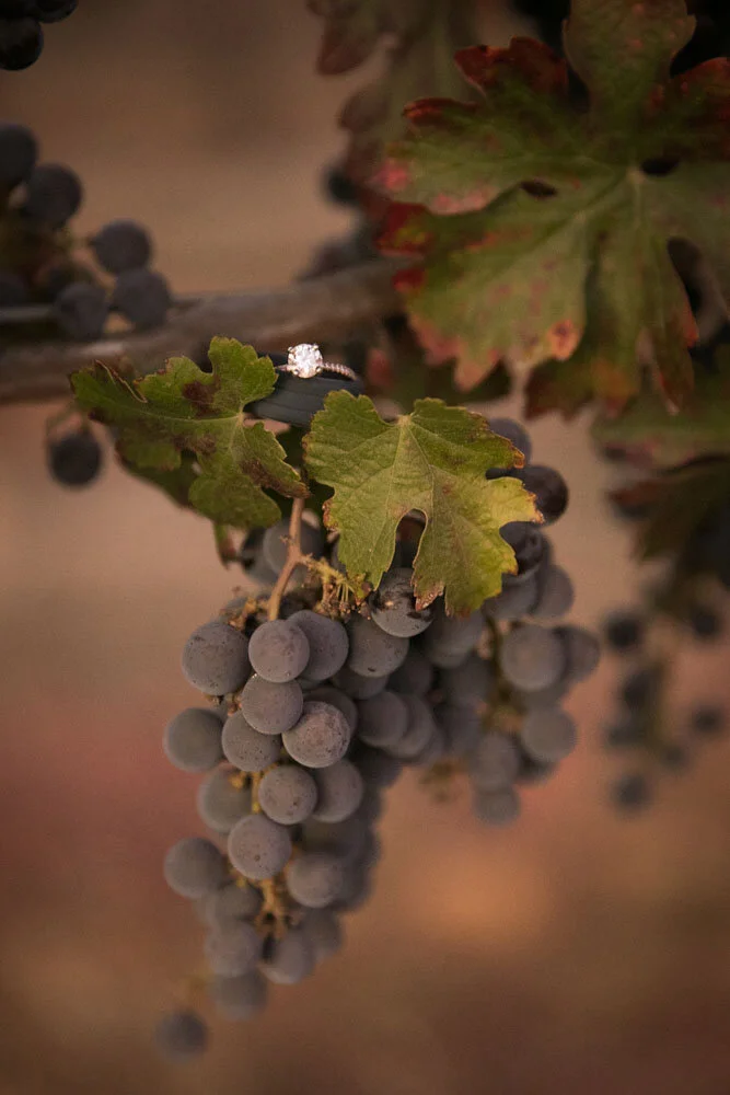 Paso Robles Wedding Photographer Cass Vineyard and Winery 113.jpg