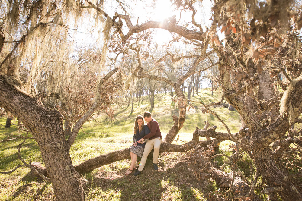 Paso Robles Wedding Photographer Oak Tree Engagements 027.jpg