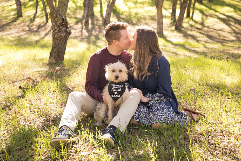 Paso Robles Wedding Photographer Oak Tree Engagements 030.jpg