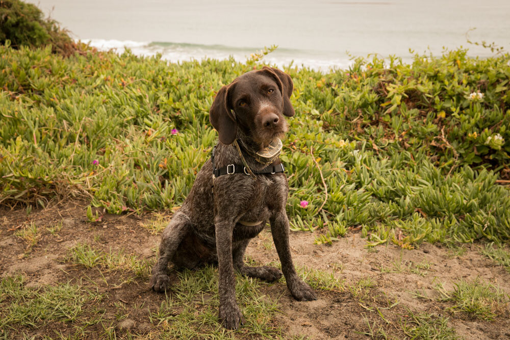 Cayucos Beach Wedding Photographer 019.jpg