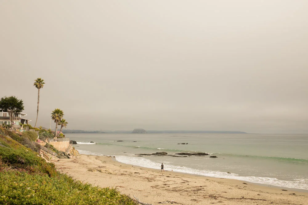Cayucos Beach Wedding Photographer 029.jpg