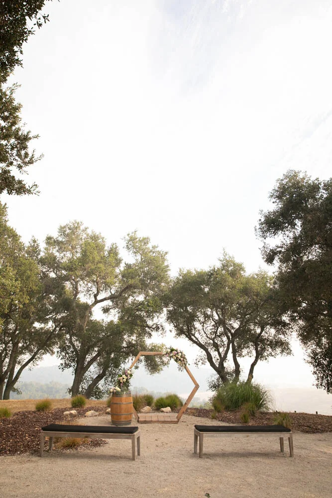 Linne Calodo Vineyard Wedding 001.jpg