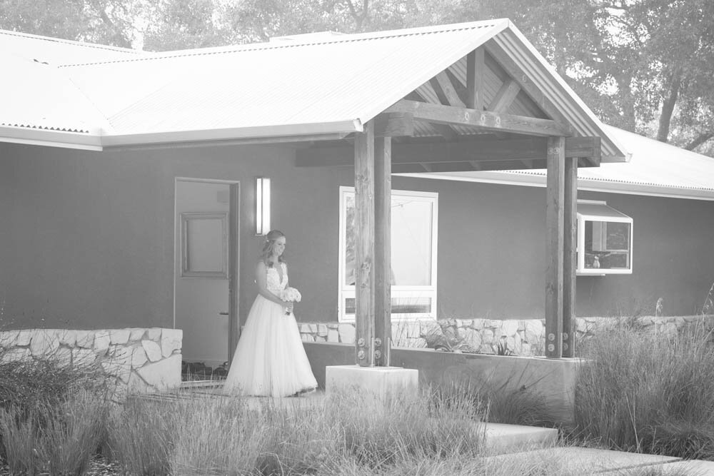 Linne Calodo Vineyard Wedding 038.jpg