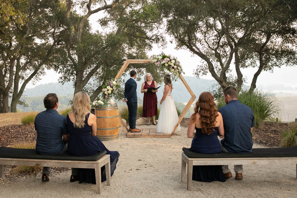 Linne Calodo Vineyard Wedding 041.jpg