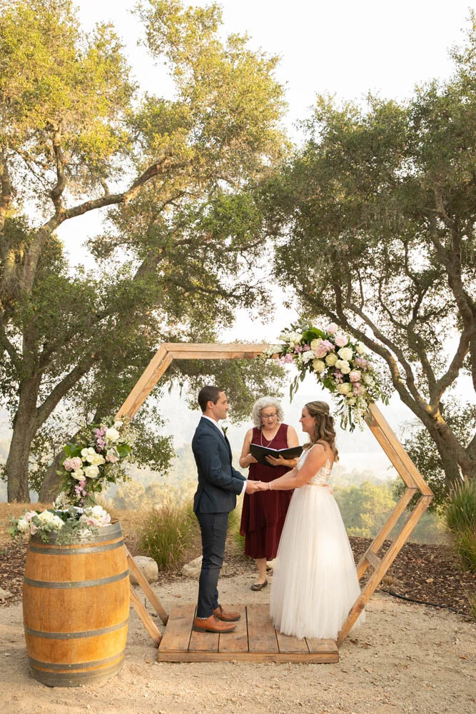 Linne Calodo Vineyard Wedding 048.jpg