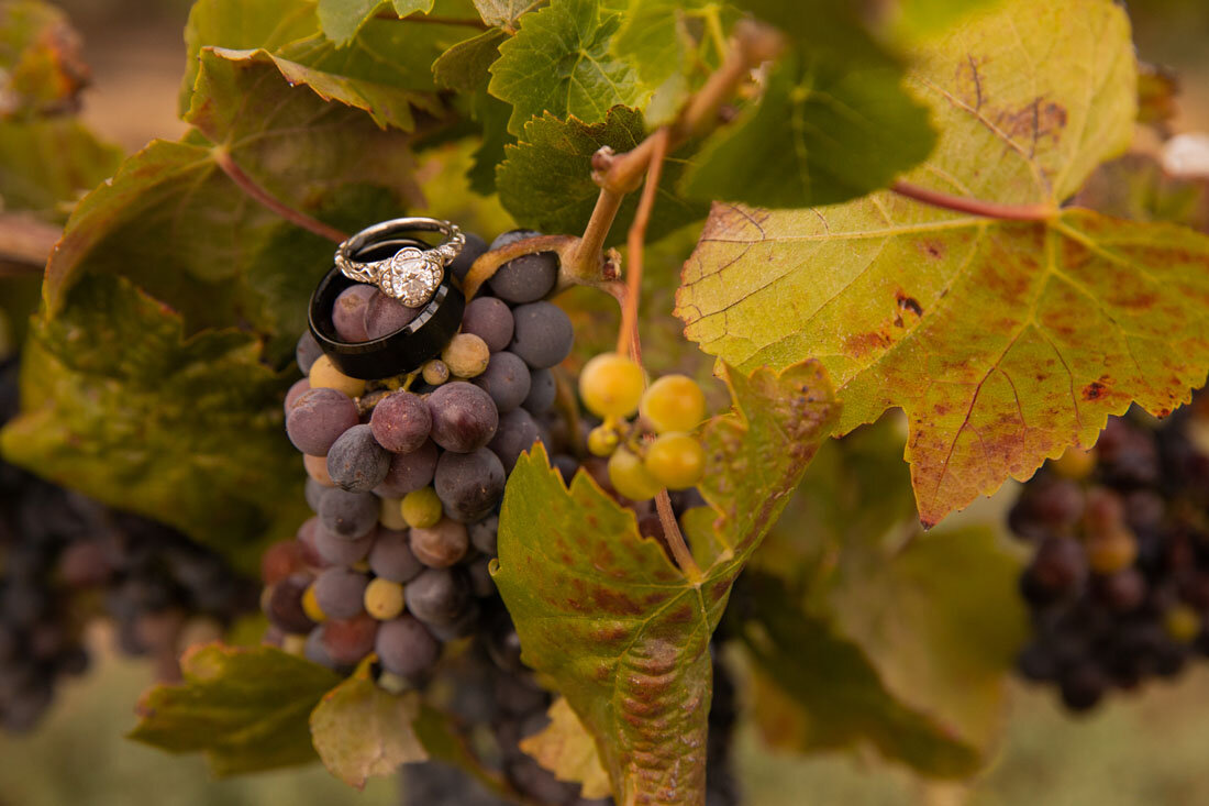 Paso Robles Wedding Photographer CaliPaso Winery 046.jpg