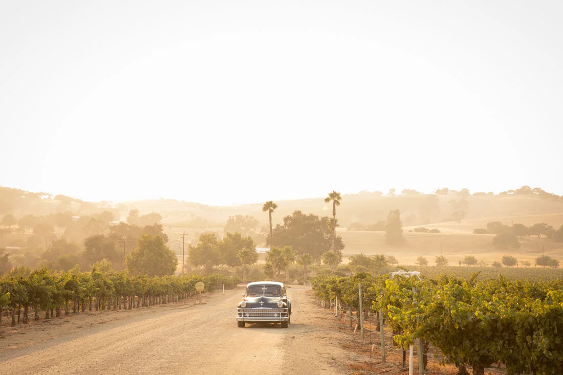 Paso Robles Wedding Photographer CASS Winery 054.jpg