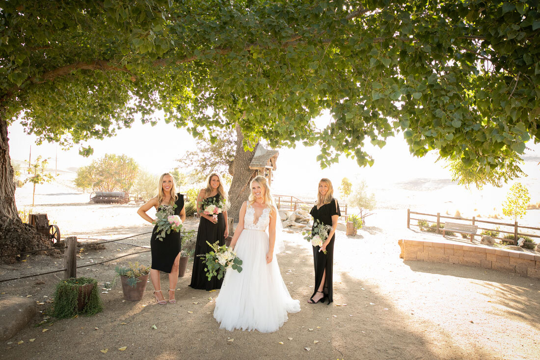 Paso Robles Wedding Photographer Almond Springs 014.jpg