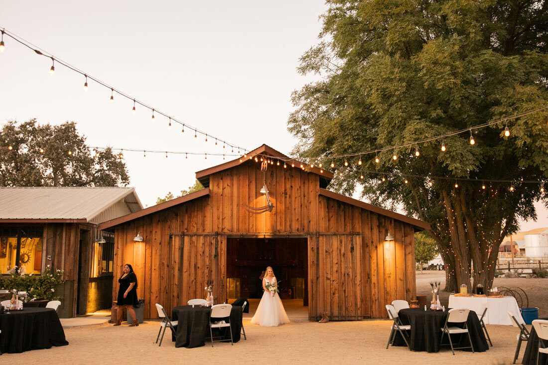 Paso Robles Wedding Photographer Almond Springs 091.jpg