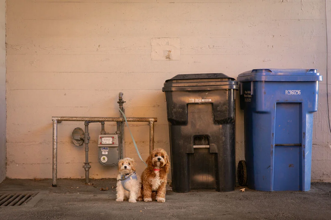 Paso Robles Family Photographer Downtown Paso Robles 043.jpg