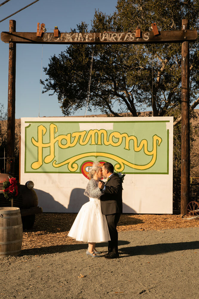 Harmony Wedding Photographer Harmony Chapel 051.jpg