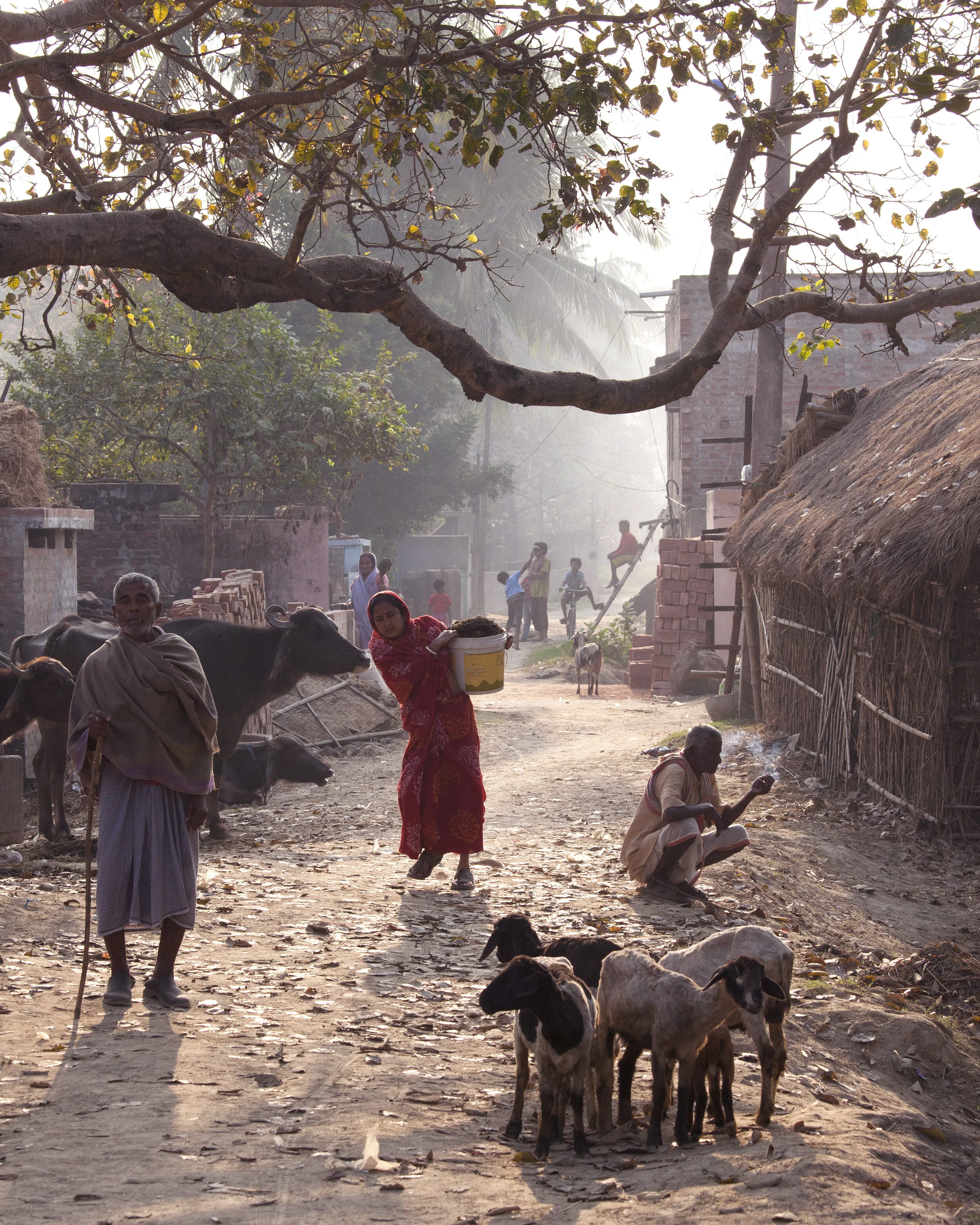 India_12.jpg