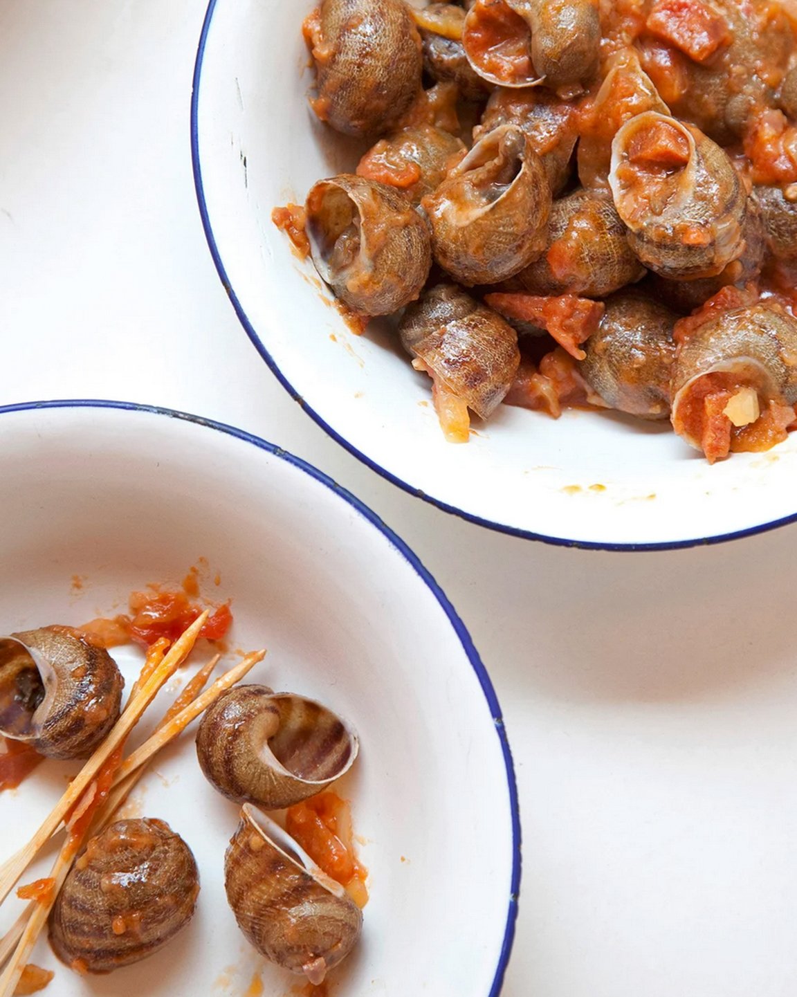 Screenshot 2026-02-09 at 1.47.48 PM.jpg