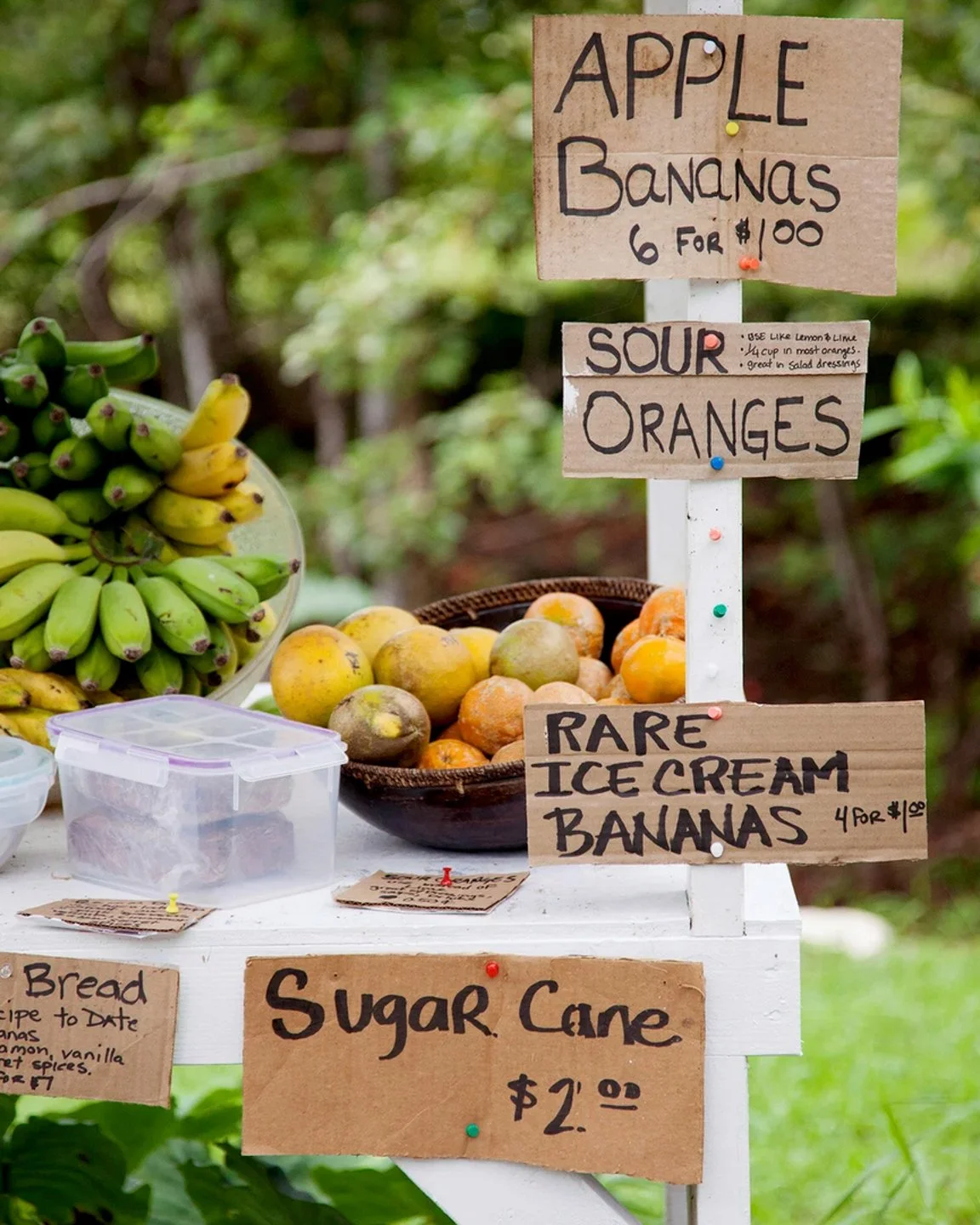 Screenshot 2026-02-09 at 11.52.16 AM.jpg