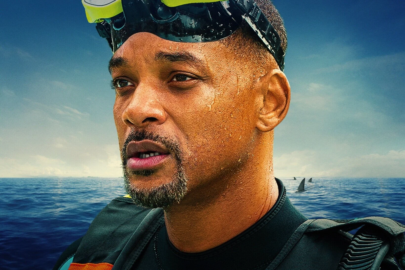 WS_SHARK_WEEK_EDIT.jpg