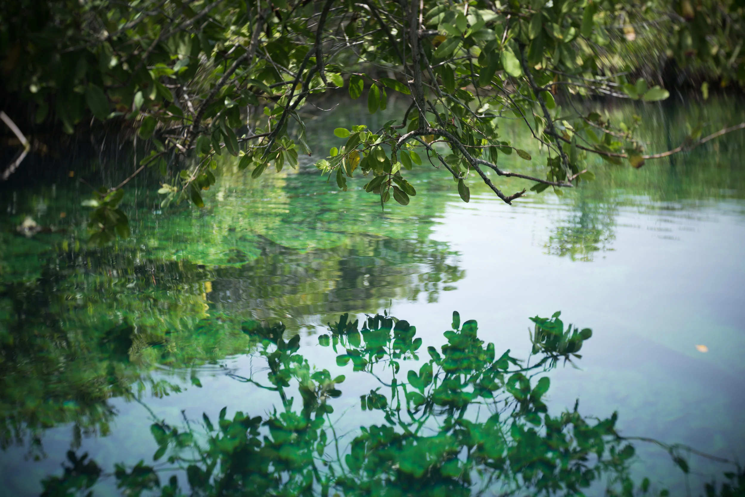 cenote.jpg