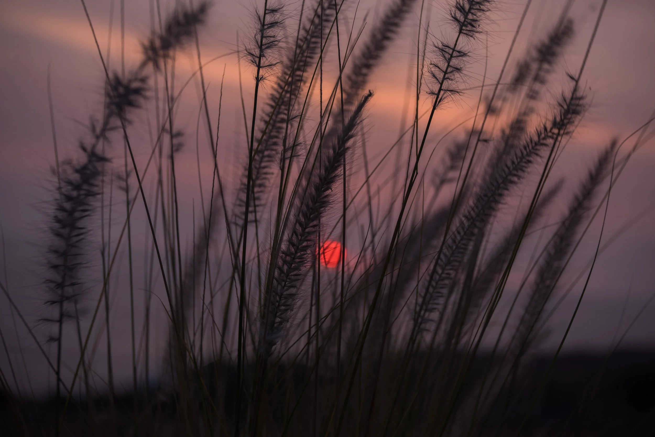 konasunset.jpg