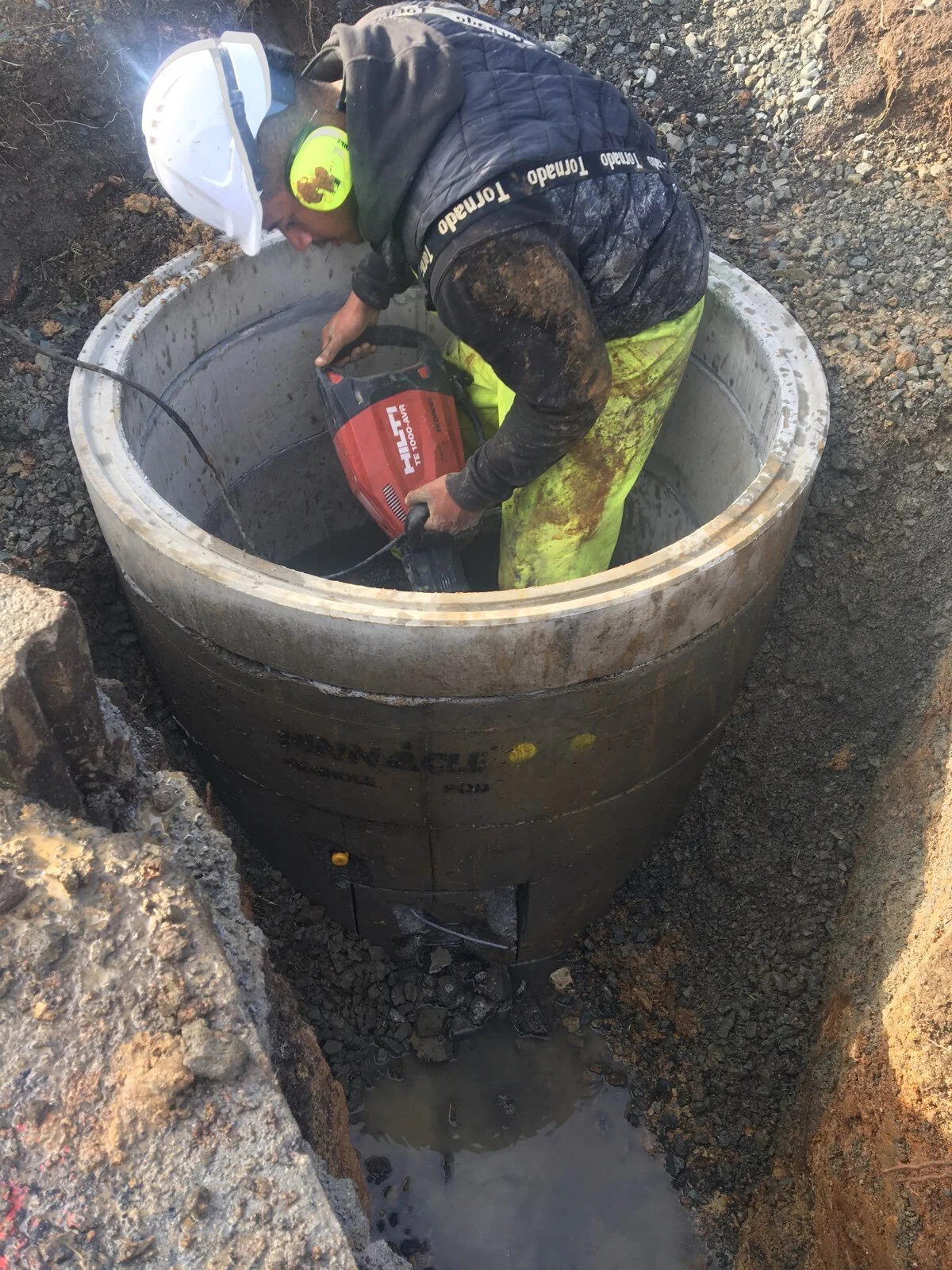 cdv_photo_009 (1).jpg