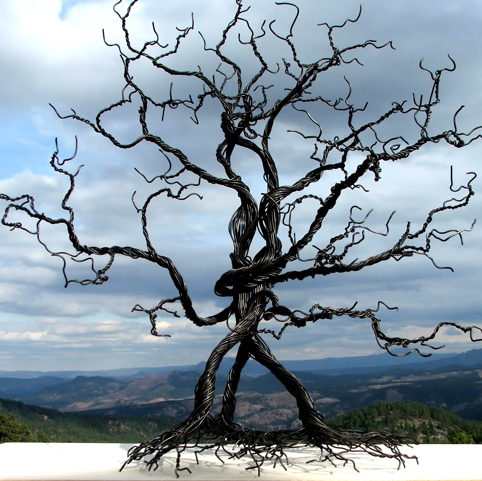 tree of life lovers wire tree square.jpg