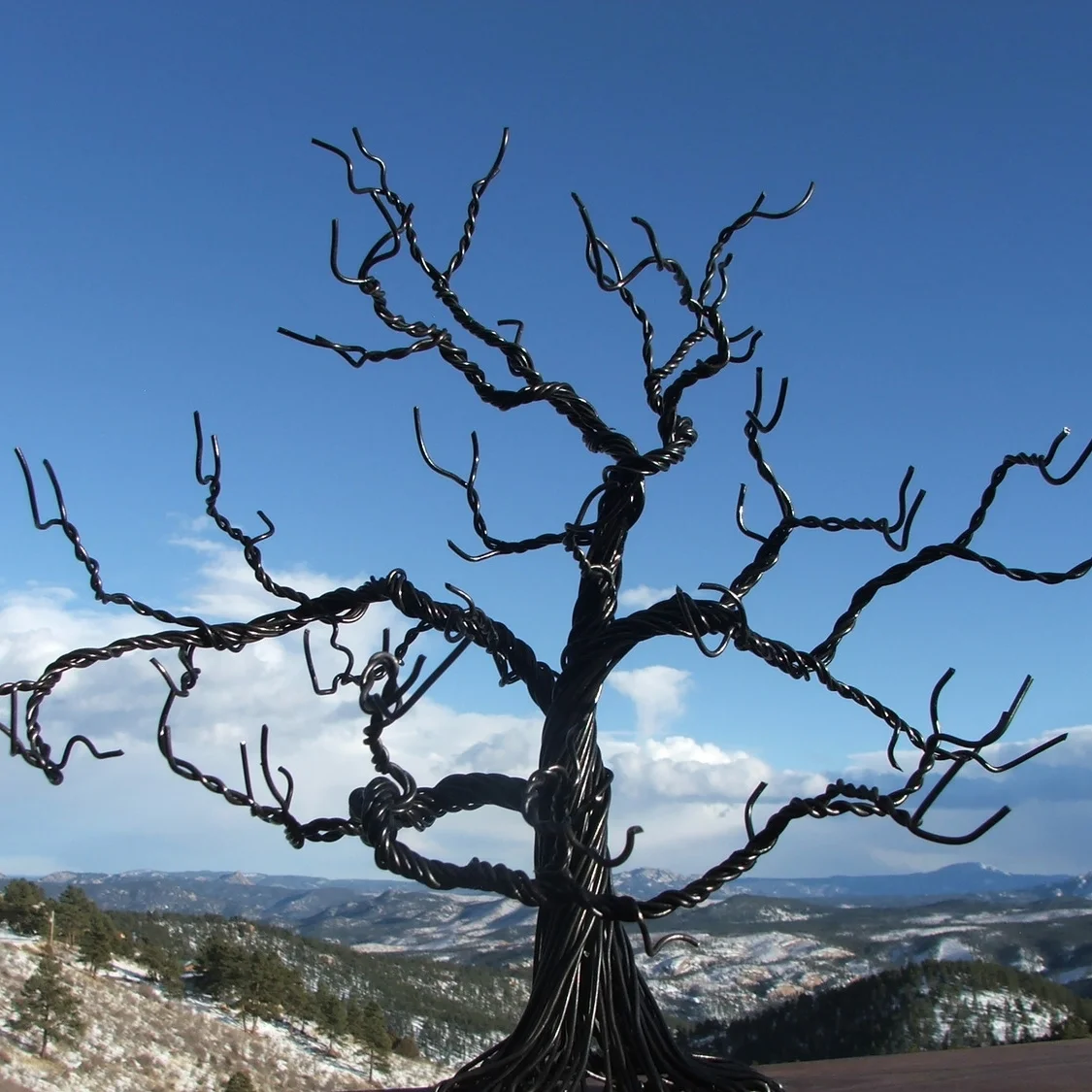 3 limb tree scenery 1.jpg