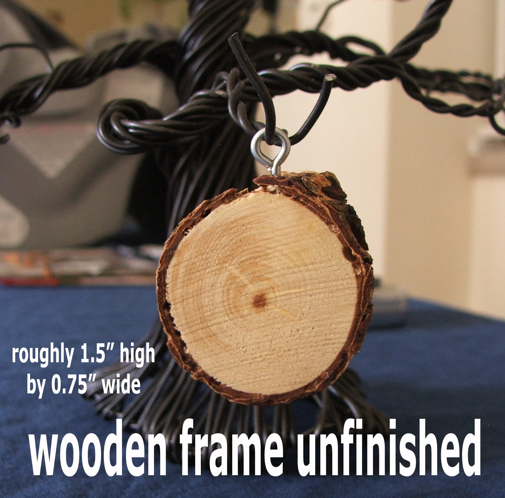 Close up of blank frame on tree copy.jpg