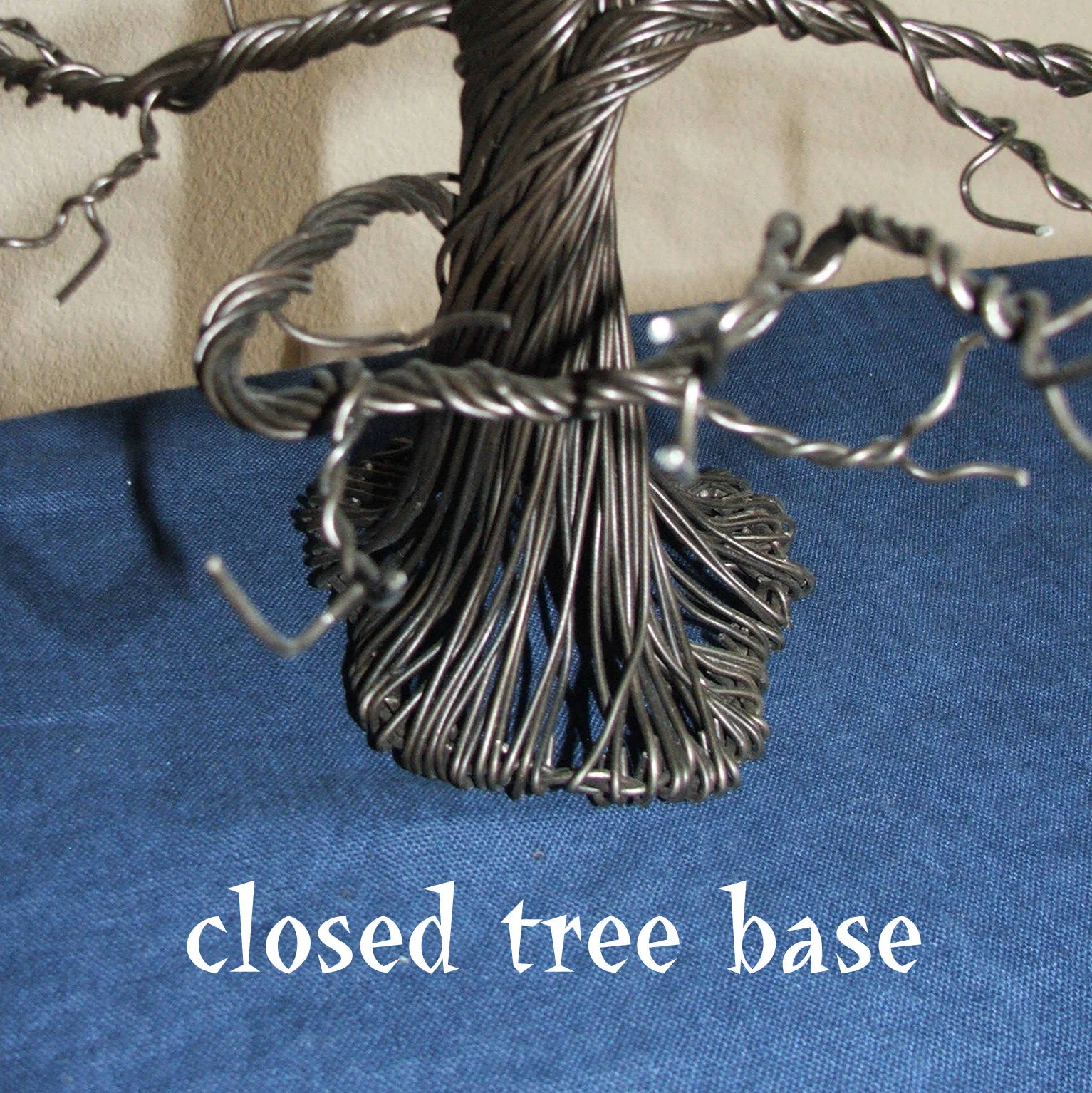 Close up on bottom of empty tree closed base.jpg