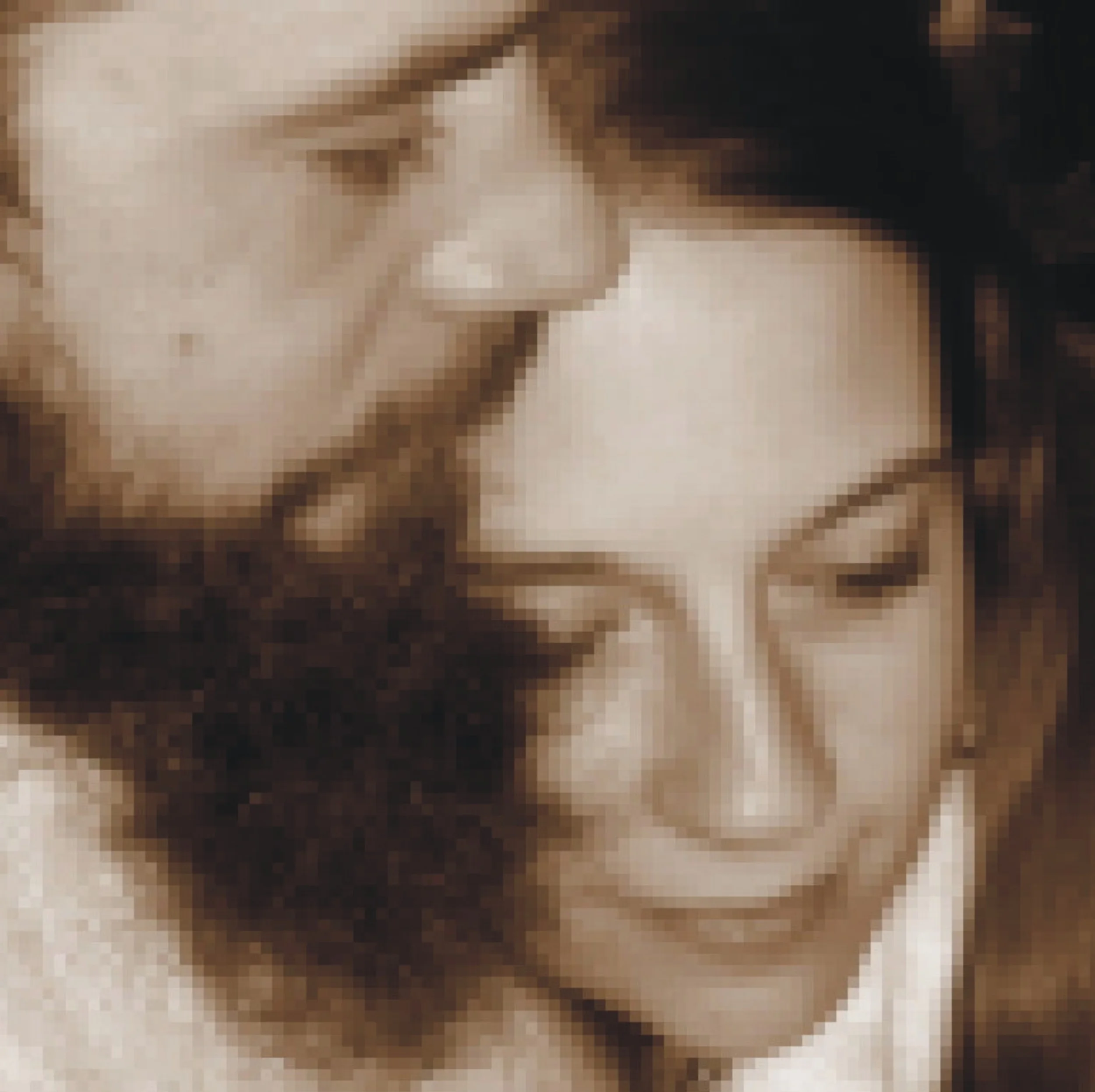 dave and shelley small pixelation 24 wide x 24 tall.JPG