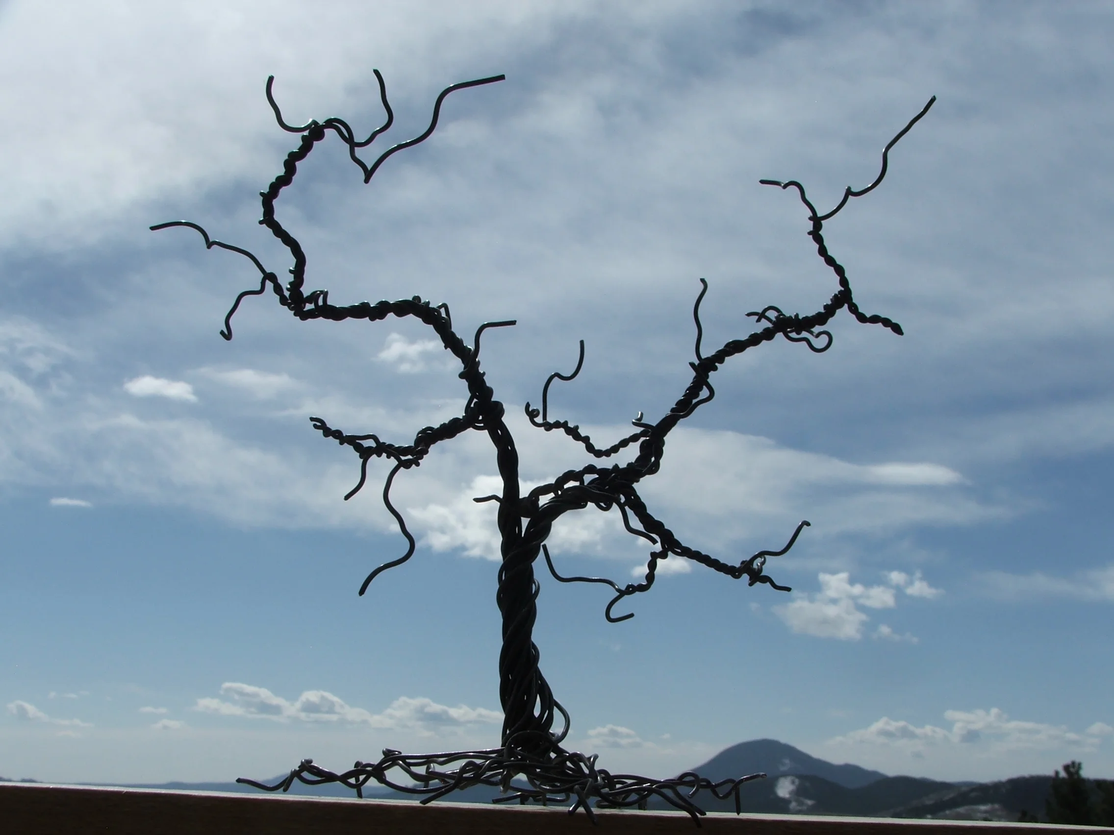 DSCF6551.JPG