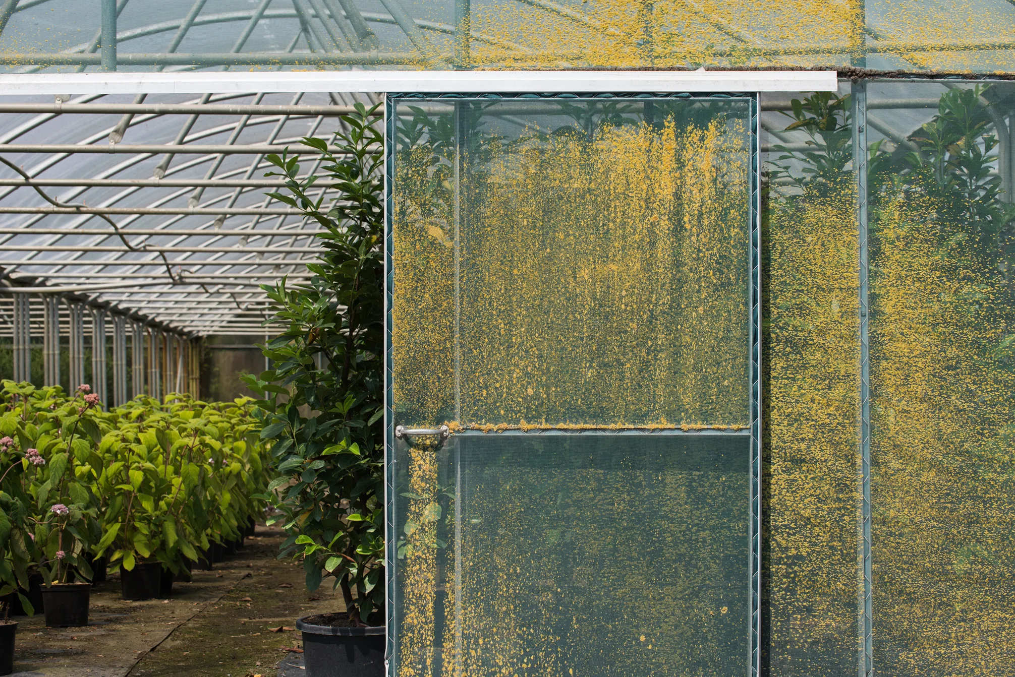 Winrow Nursery
