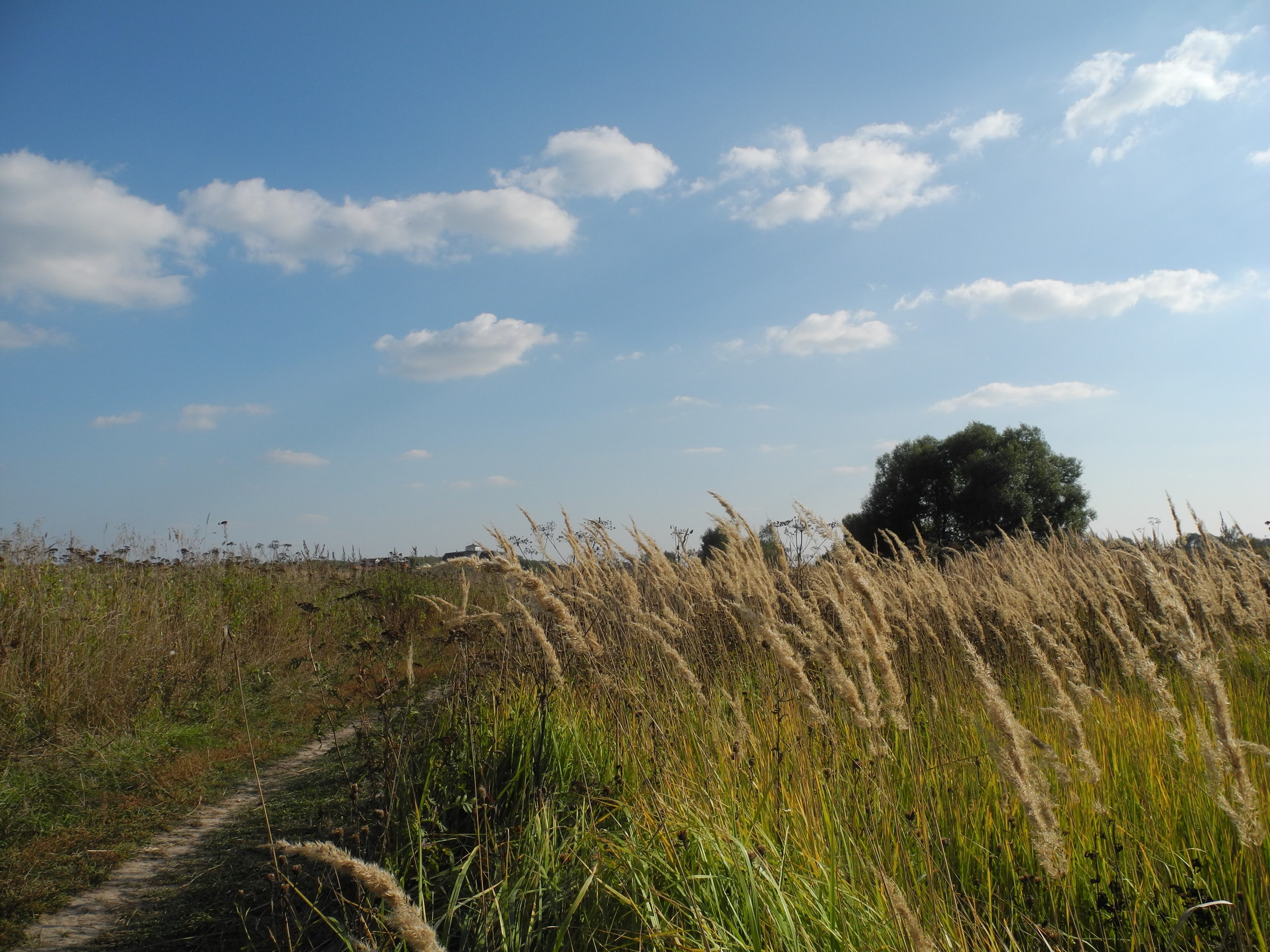 DSCN6497.JPG