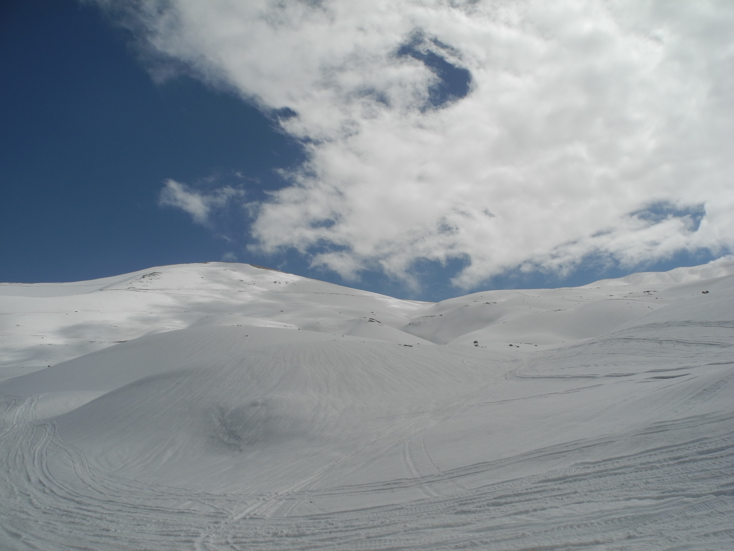 DSCN7399.JPG