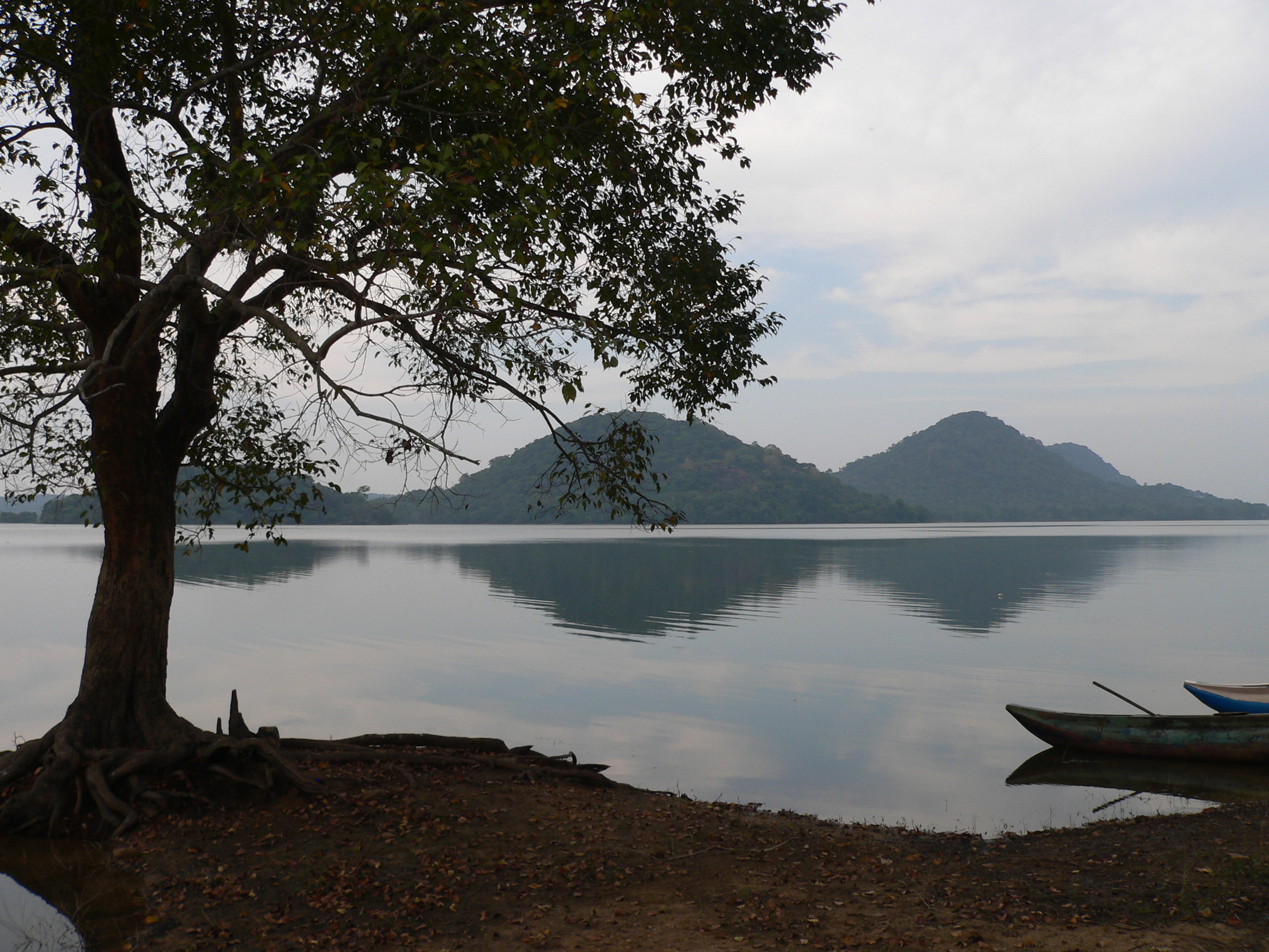 P1080302.JPG