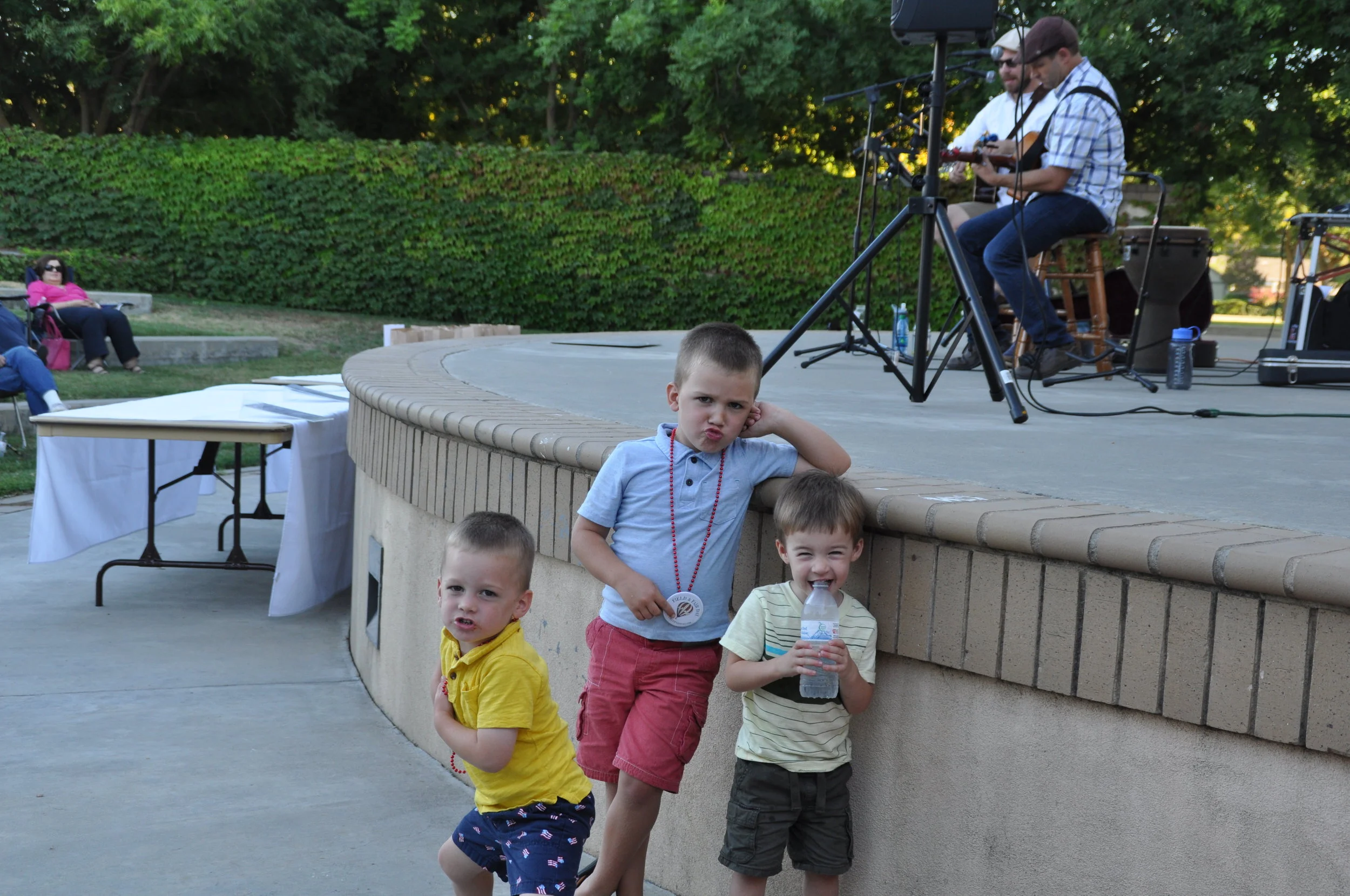 Field and Fair Day 2015 543.JPG