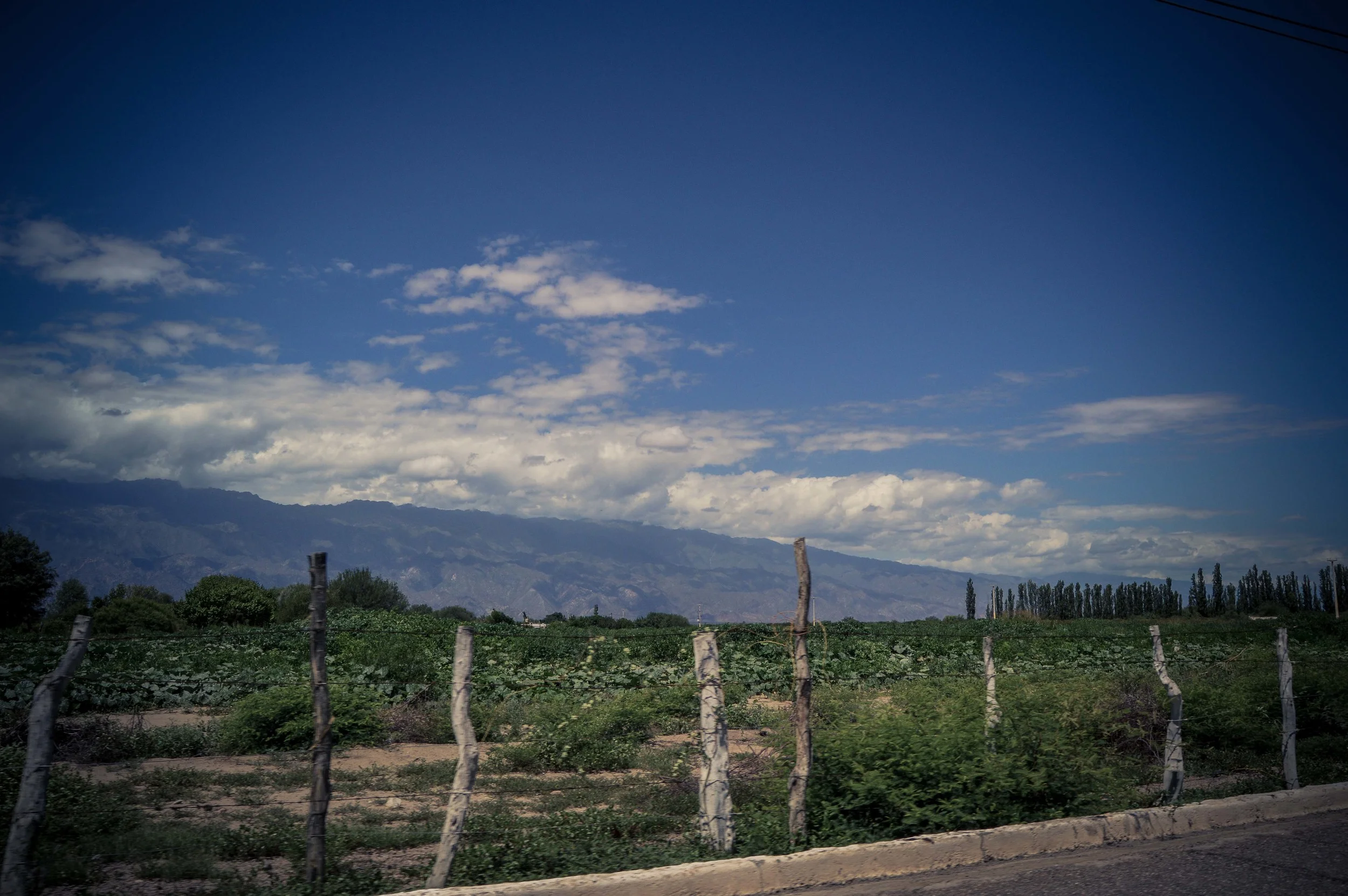 lariojana-landscape(1).jpg
