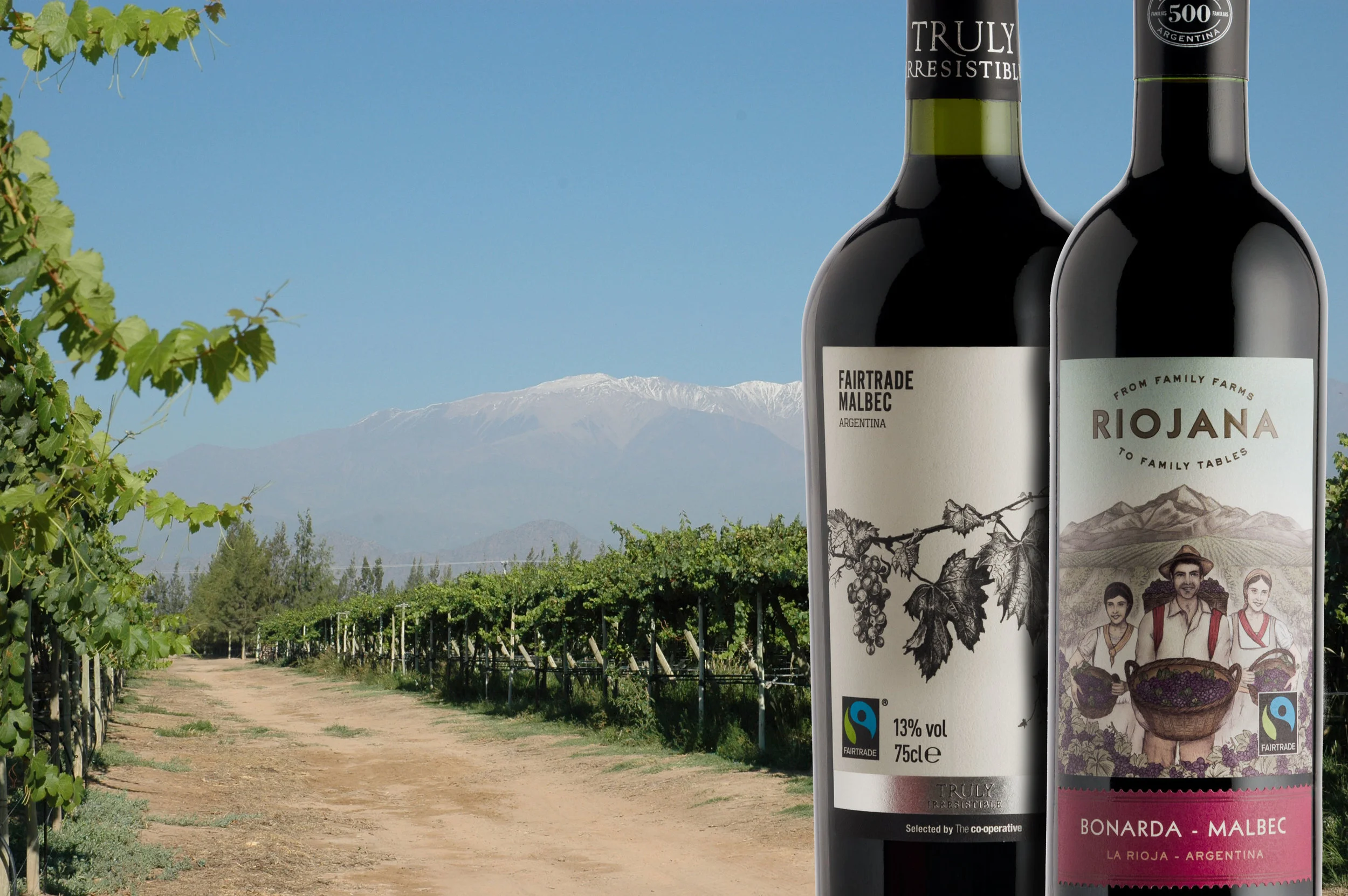 lariojana-packshot-riojana-fairtrade-cabernetsauvignon.jpg