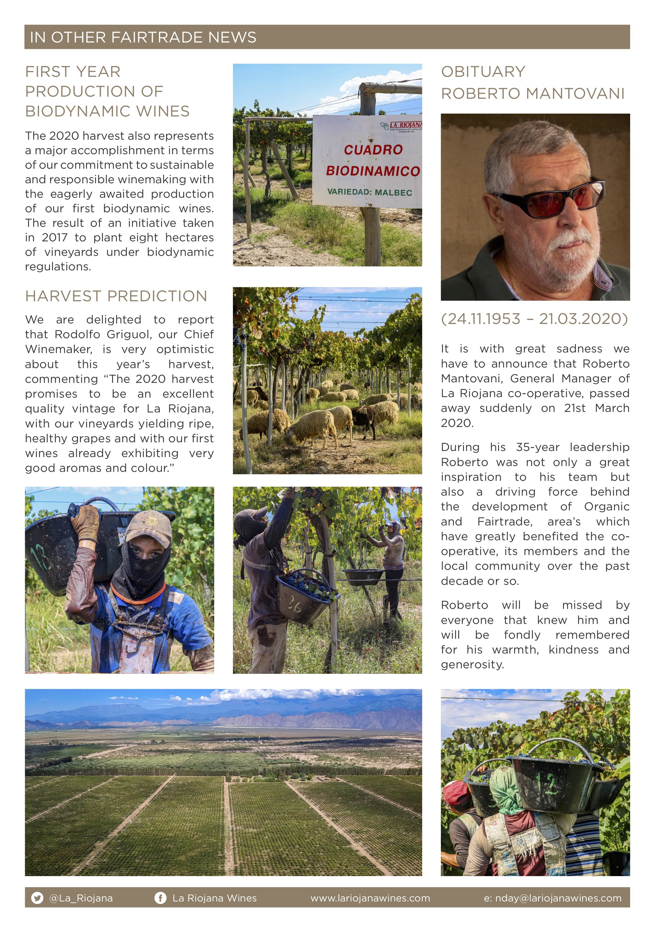 La Riojana Newsletter - Issue 5 - March 2020- p4.jpg