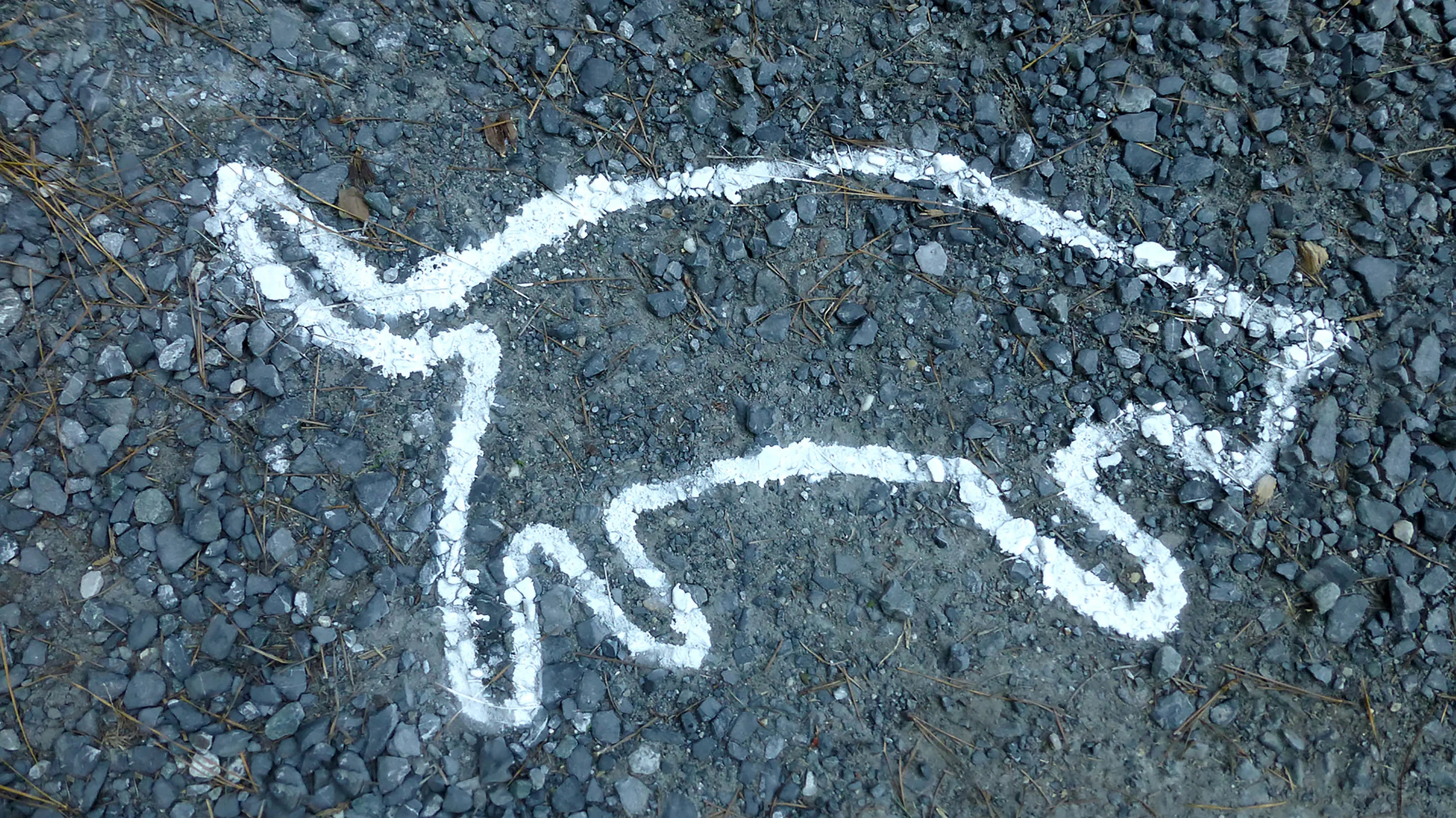 Cat outline PICKLE.jpg