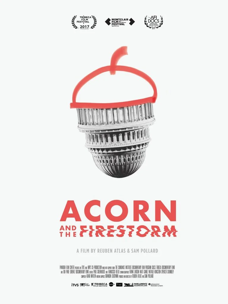 Acorn_02_preview.jpg