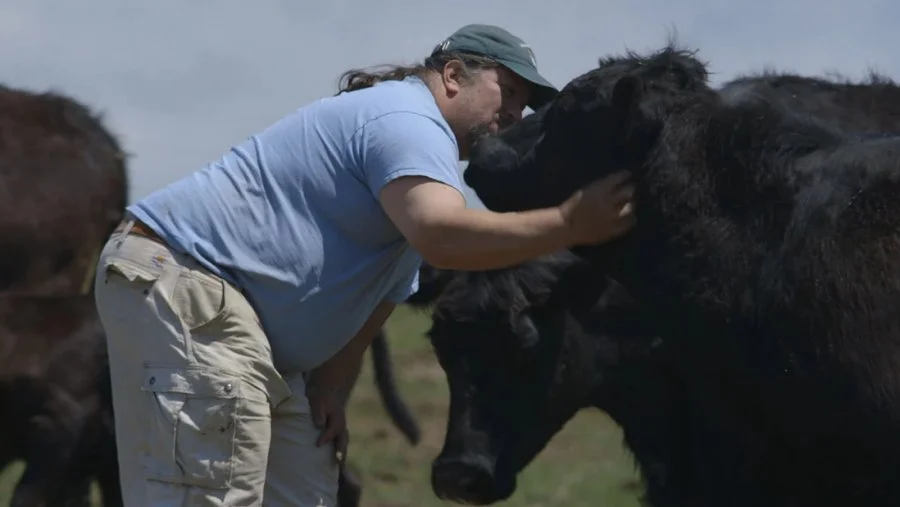 the_bullish_farmer.jpg