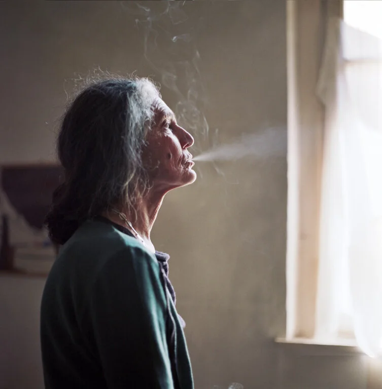 The Disappearance of My Mother